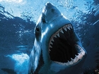 Breast Cancer: Sharks' Antibodies Could Hold Key