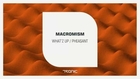 Macromism - What'Z Up (Original Mix) [Tronic]