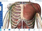 Human Anatomy Atlas tutorial (PC/Mac)