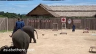 Hua Hin Safari Park Elephant Show, Part VI